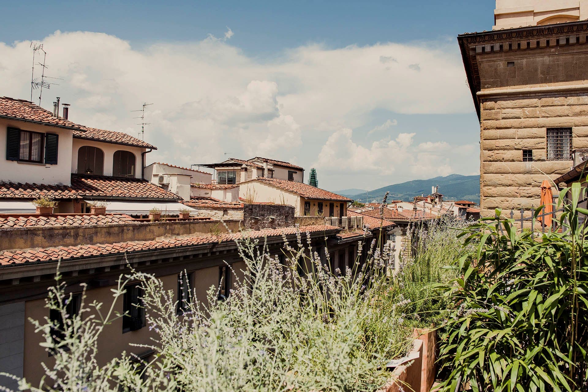 Hotel Milu