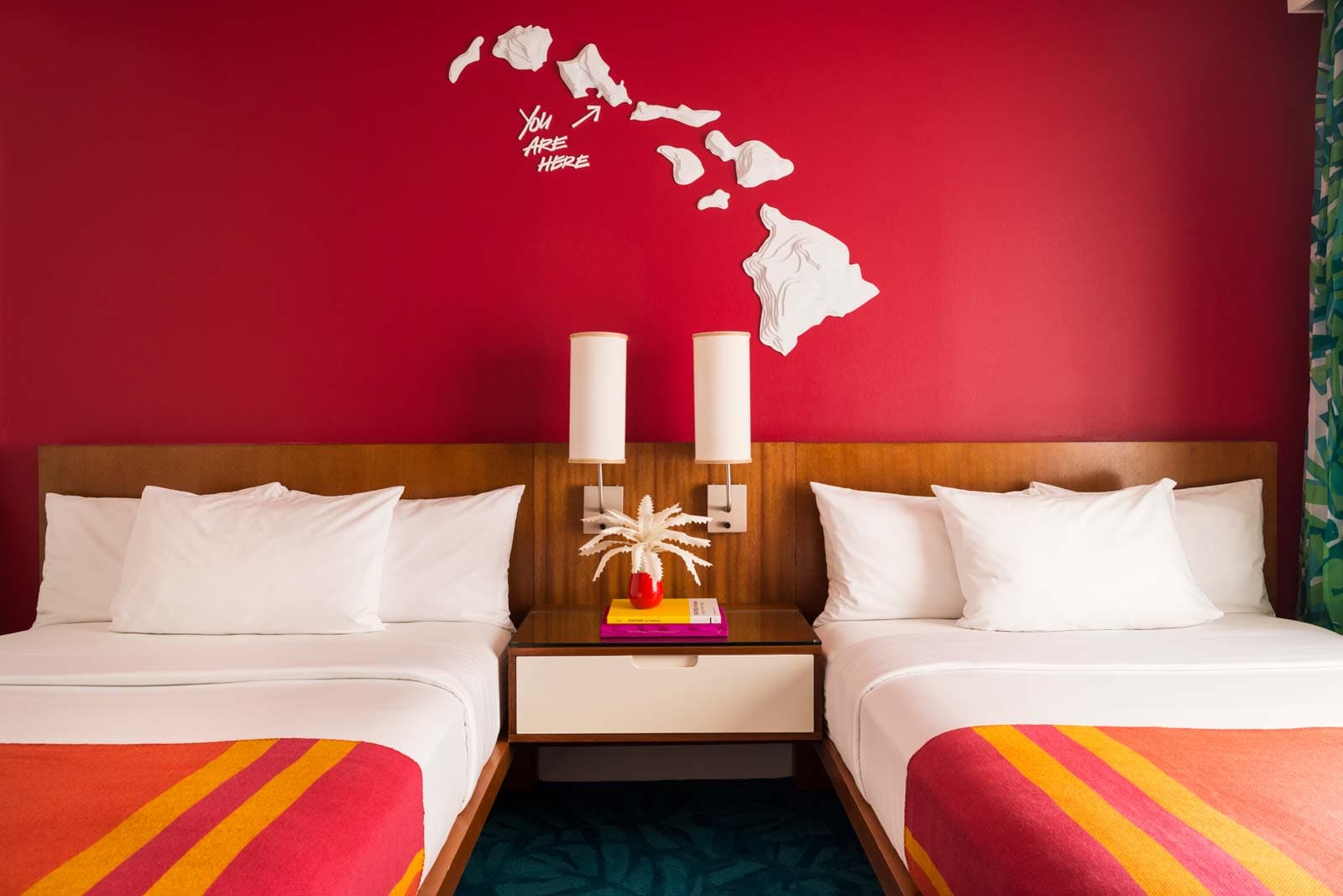 Single King Bed