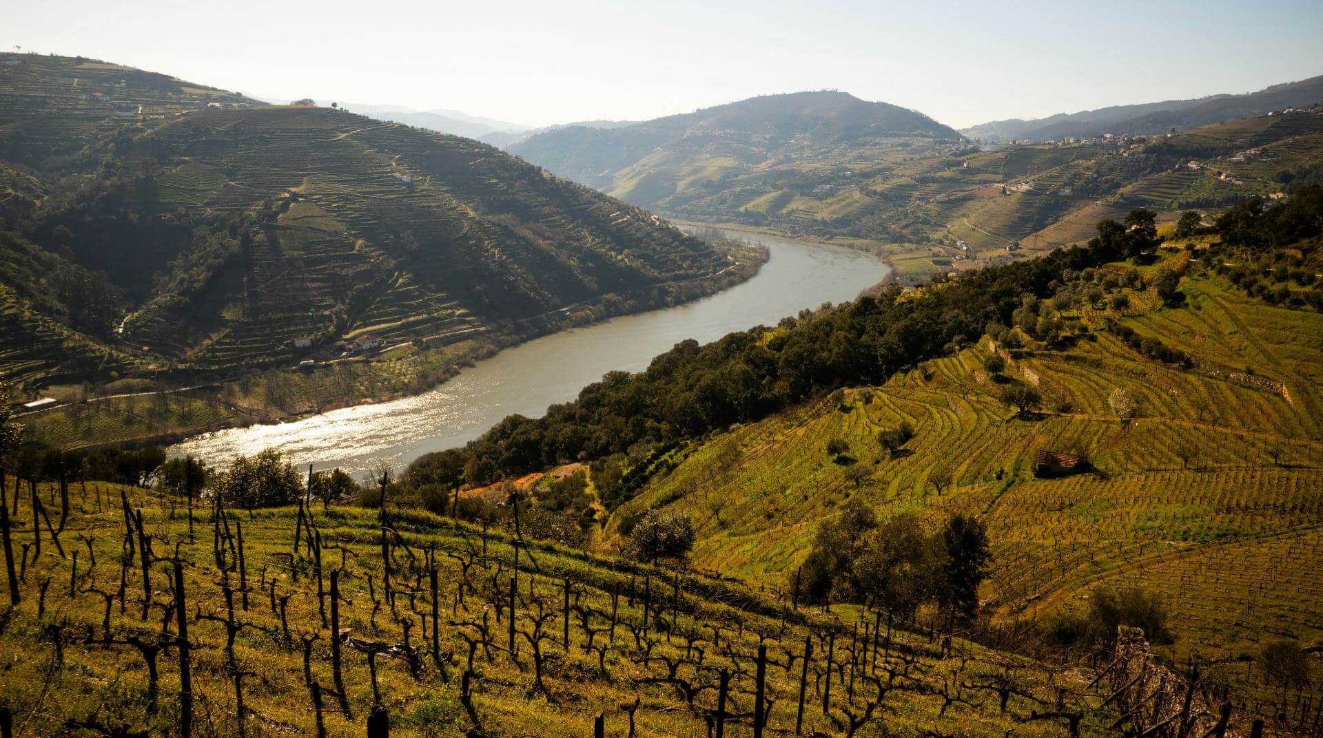 Torel Quinta da Vacaria - Douro Valley