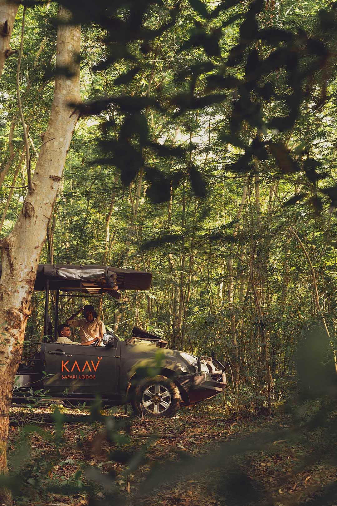 Kaav Safari Lodge, Kabini