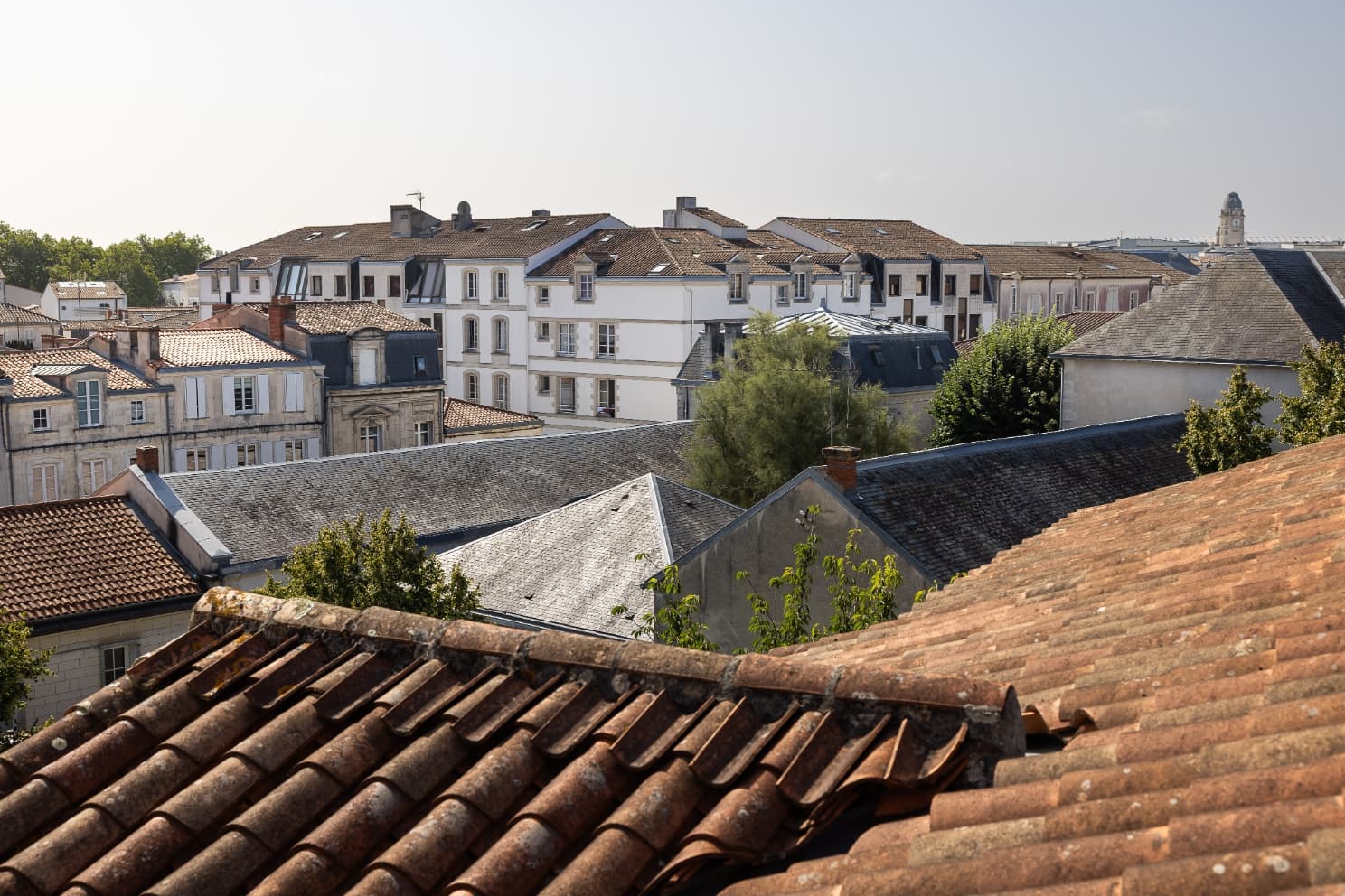 Suite (Duplex)