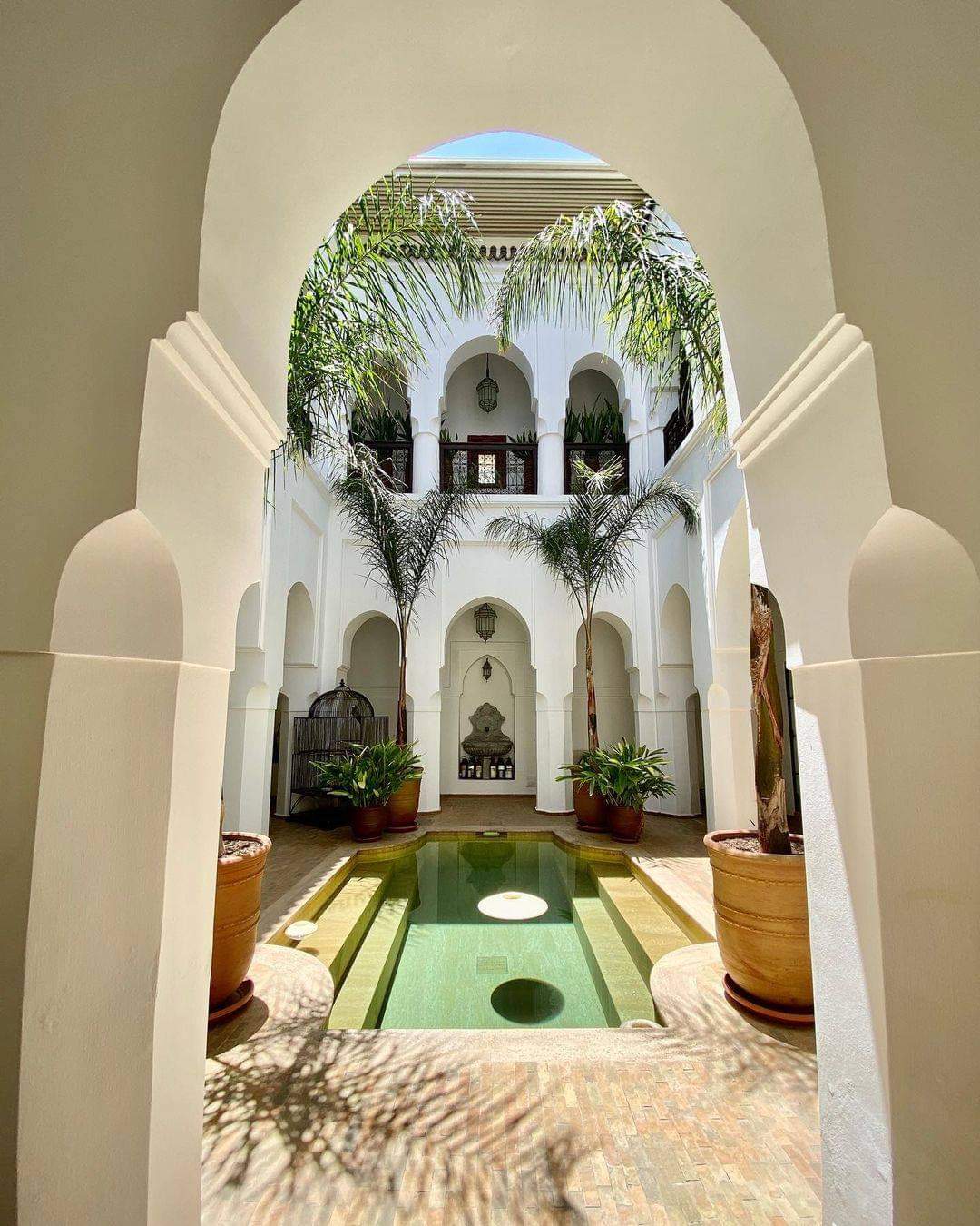White Suite