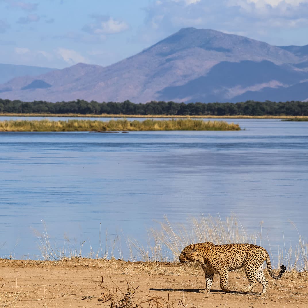 Royal Zambezi Lodge