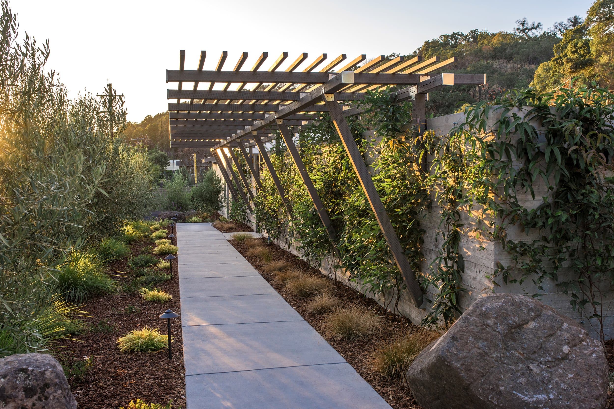 Hillside King with Fireplace