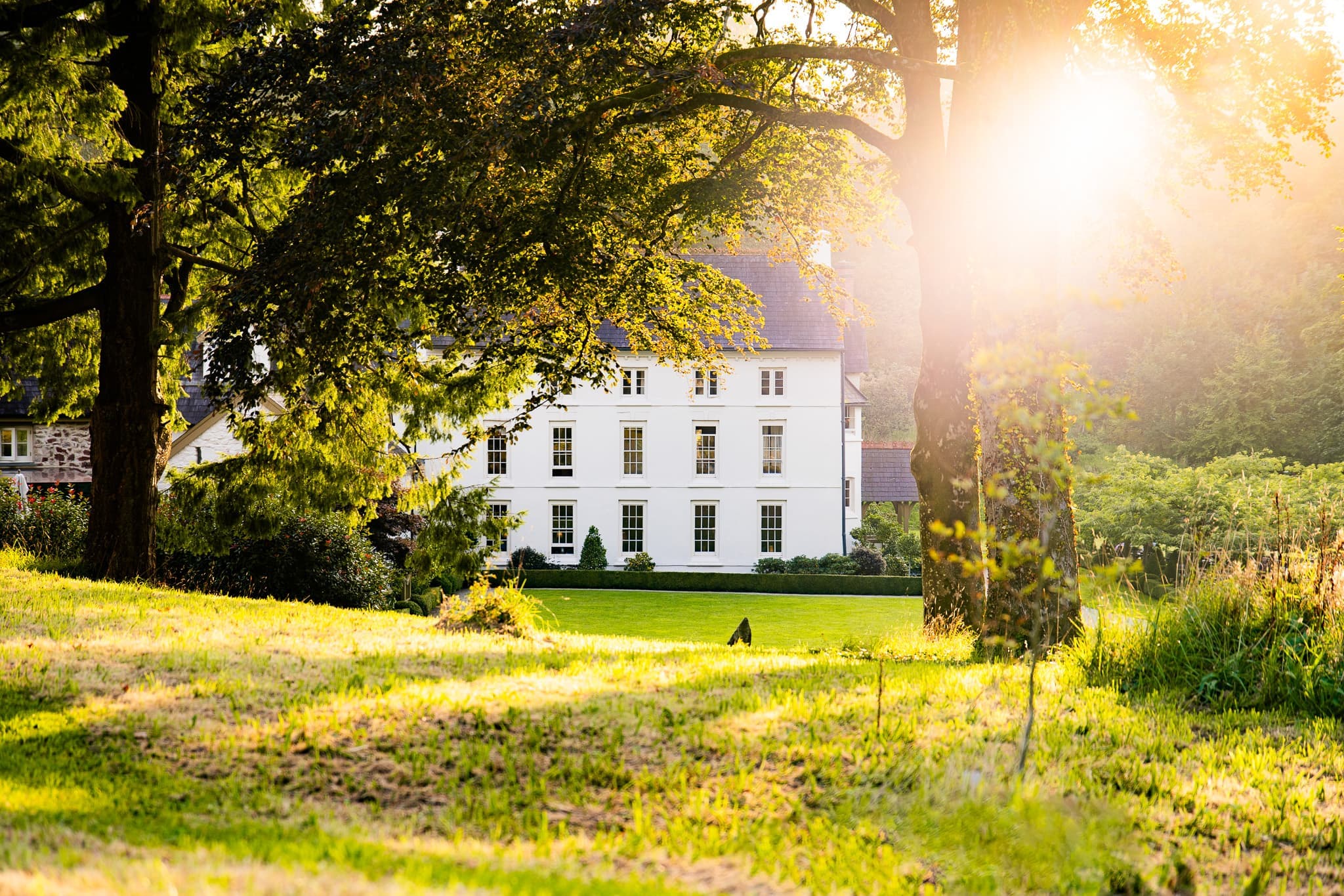 Grove of Narberth