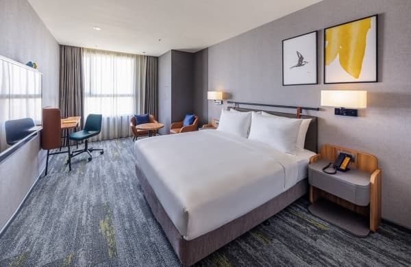 1 Bedroom Suite