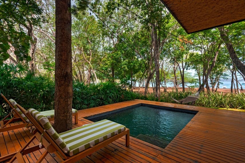 Resort Suite 1 King