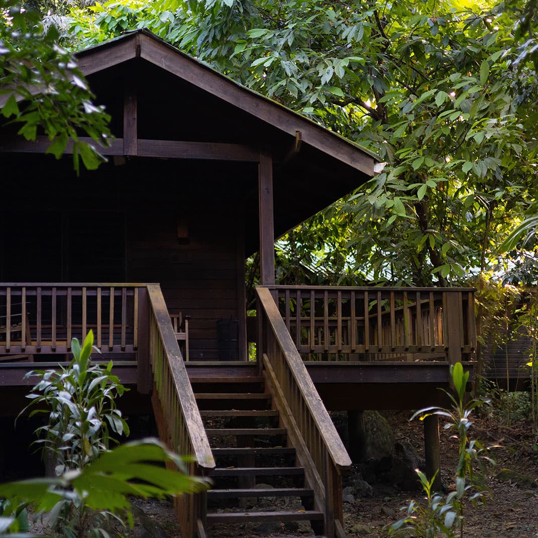Superior King Size (Deluxe King Cabin)