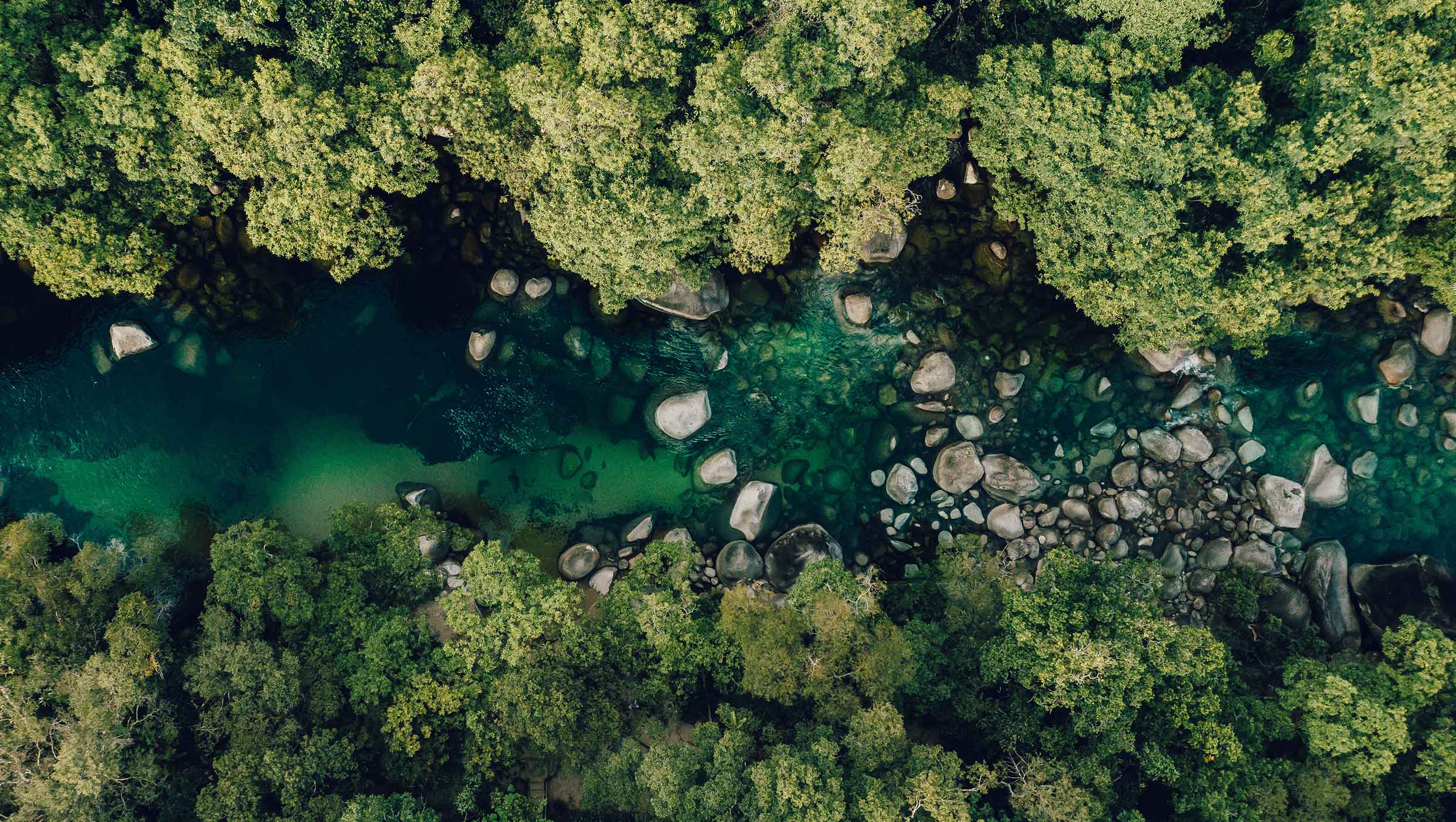 Rainforest Retreat
