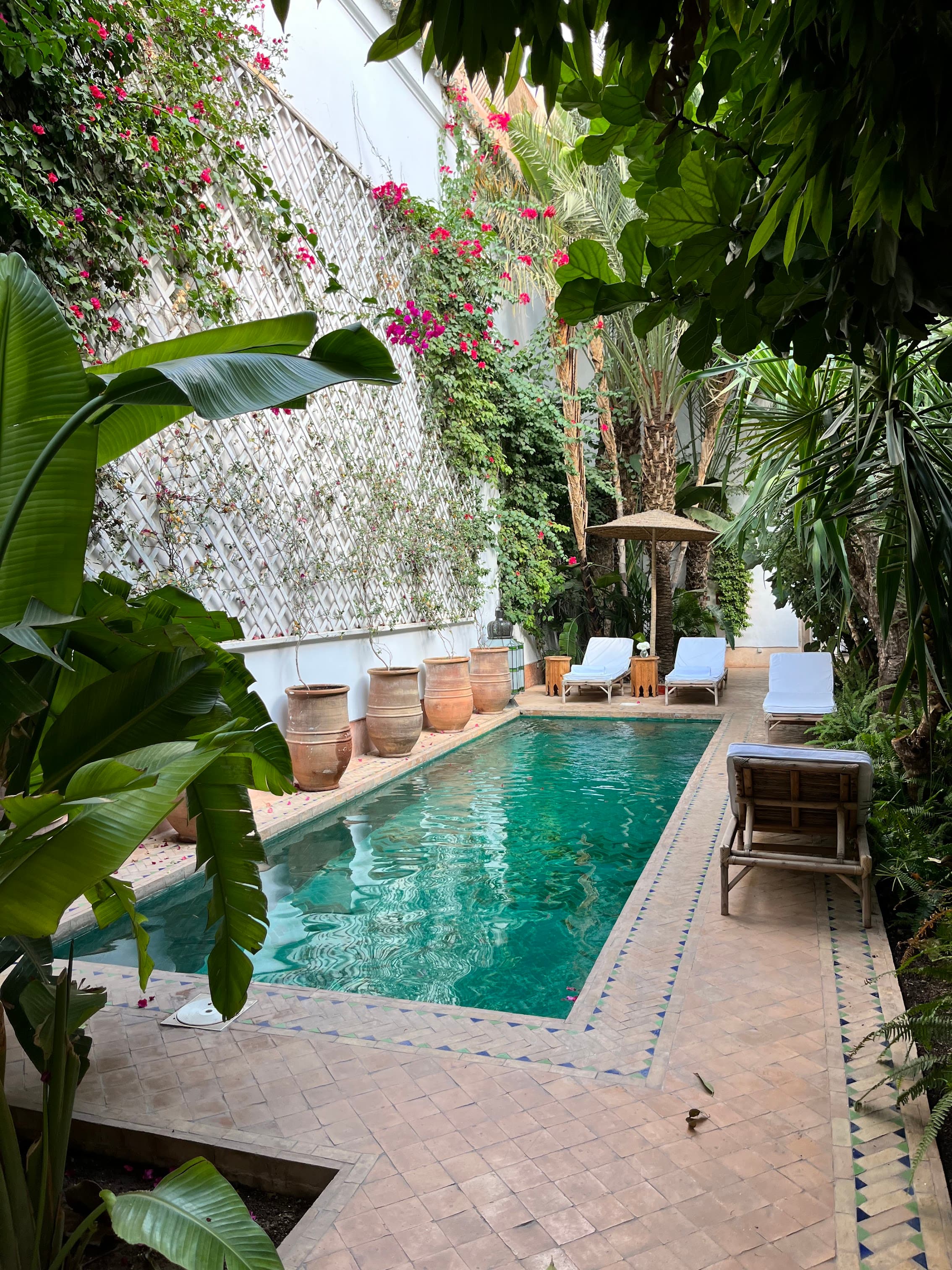 Fez Suite
