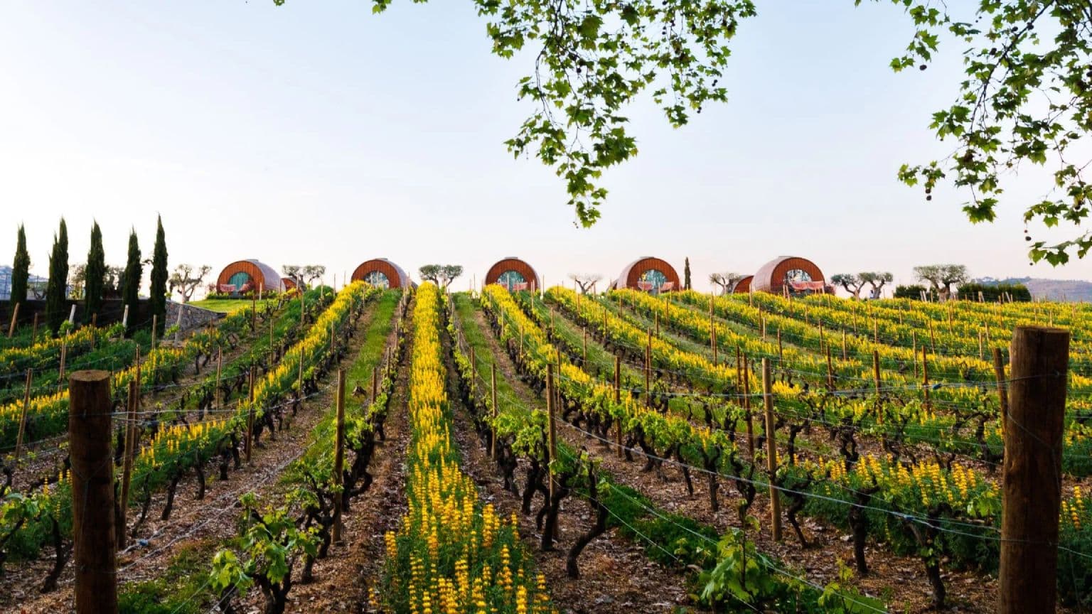 The Wine House Hotel - Quinta da Pacheca