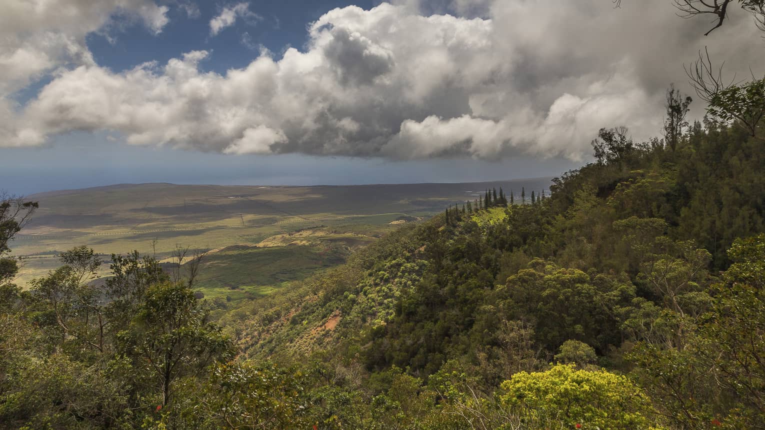 Sensei Lanai, A Four Seasons Resort