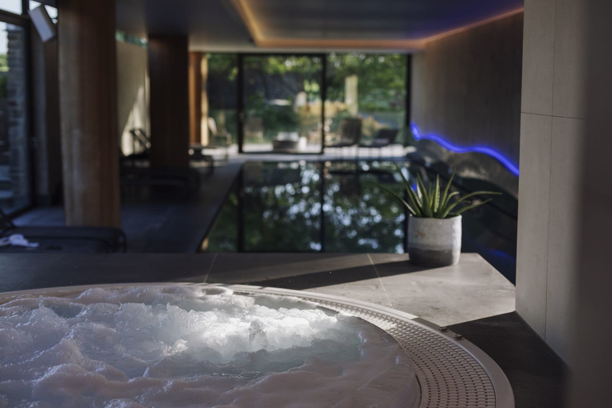 Royal Suite Wellness