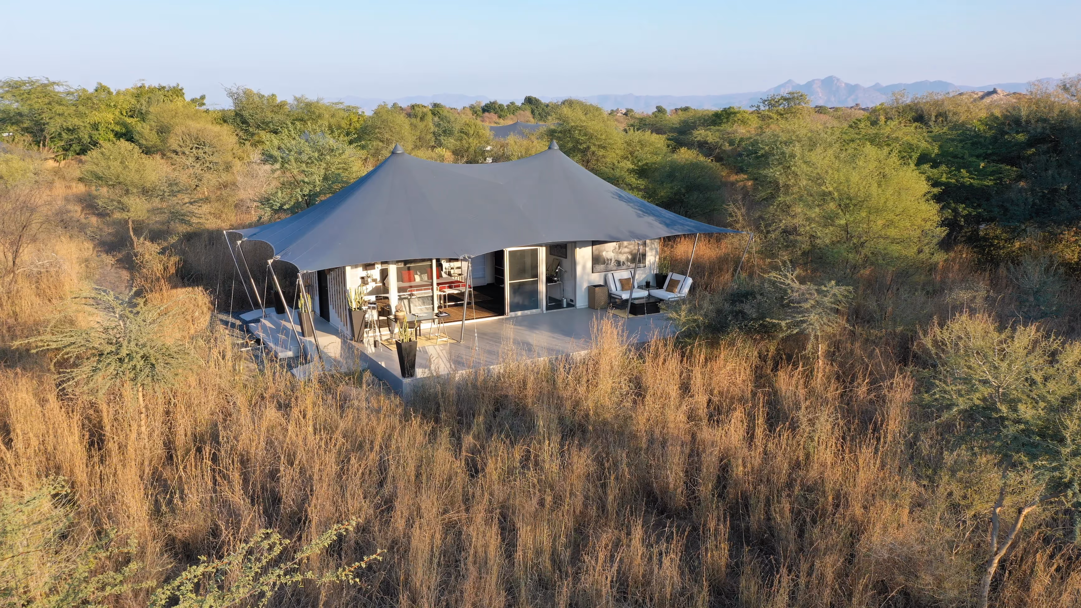 The 'Felidae' Suite