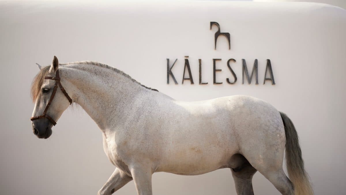 Kalesma Mykonos