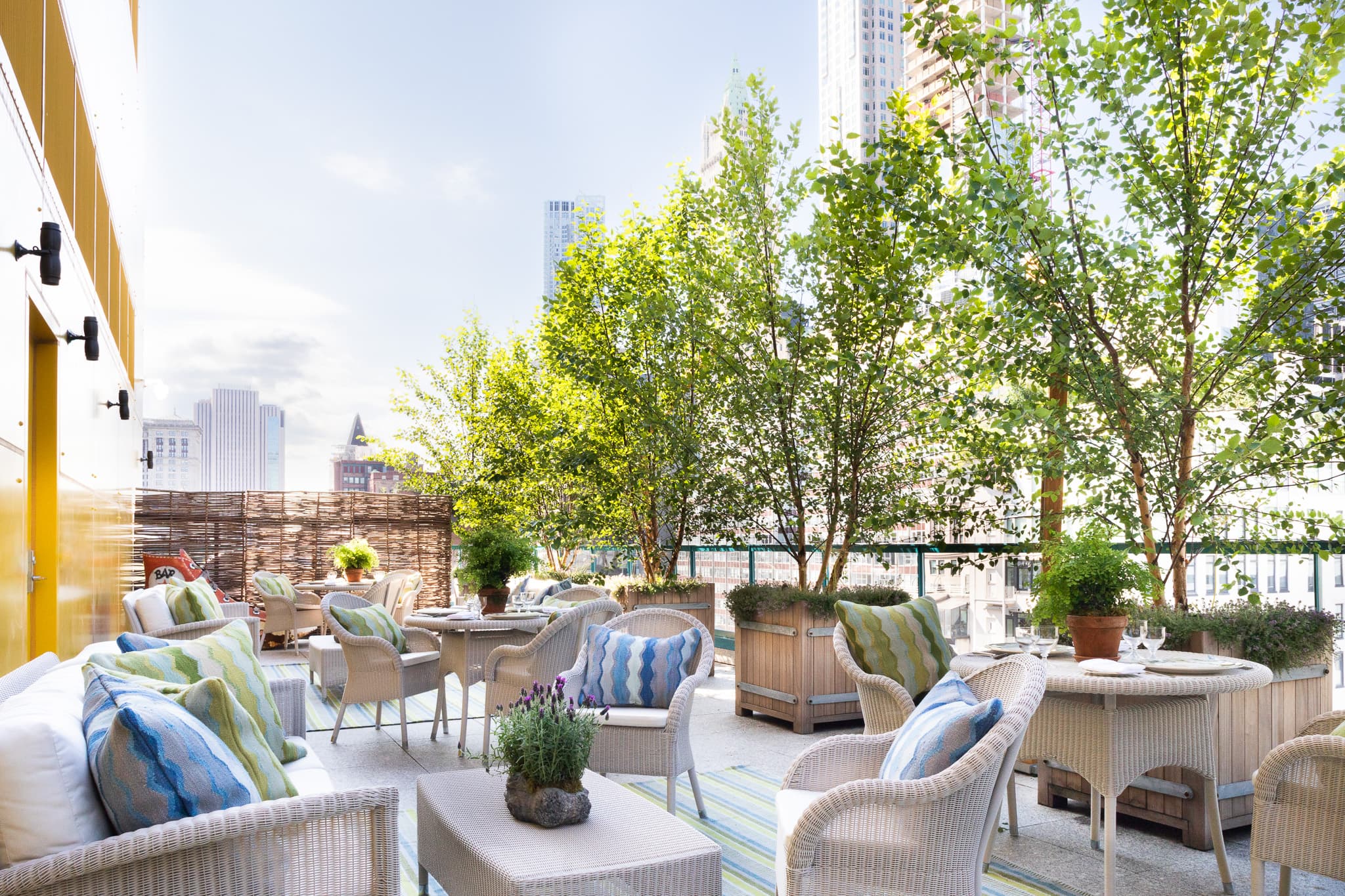 Junior Terrace Suite