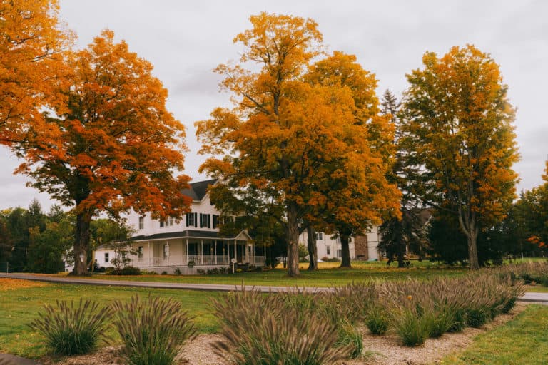 The Farmhouse