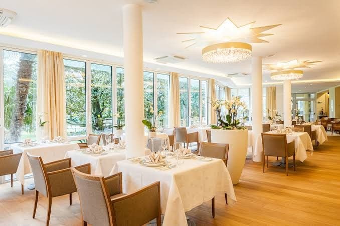 Palm Suite