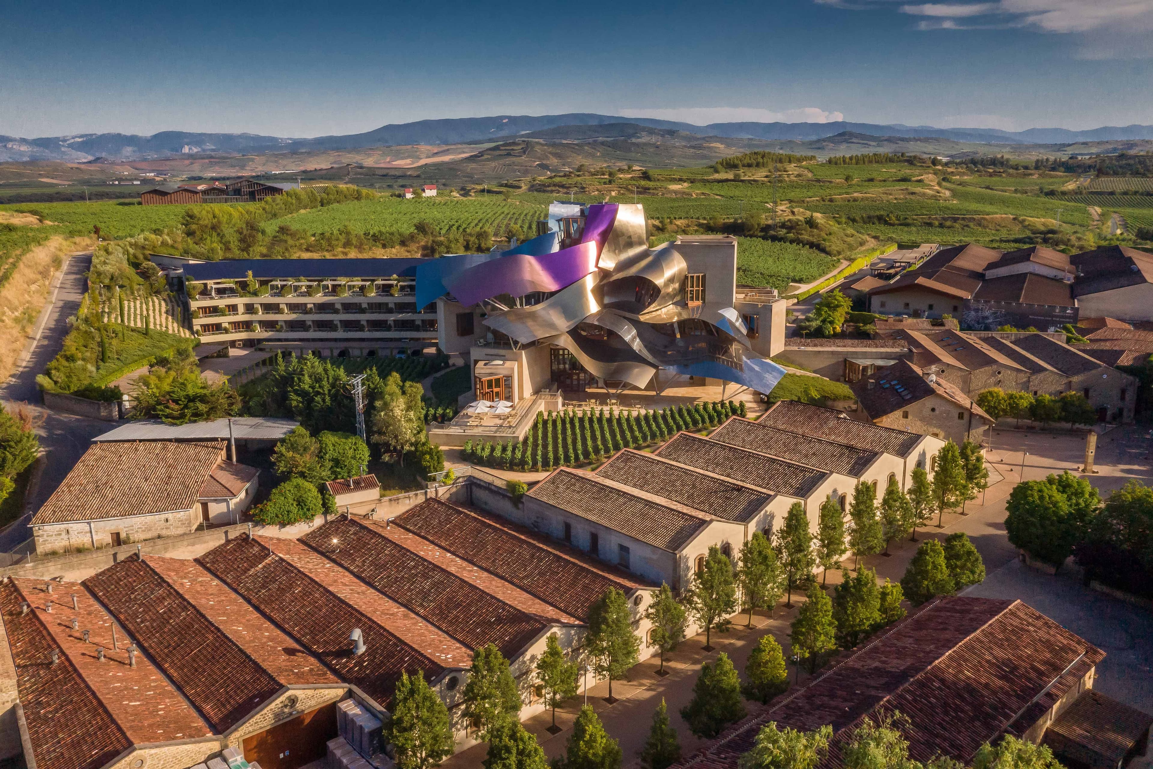 Riscal Suite Terrace