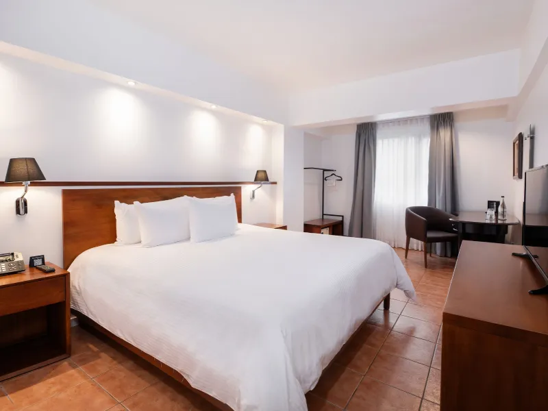 Guest Room – 1 King Bed
