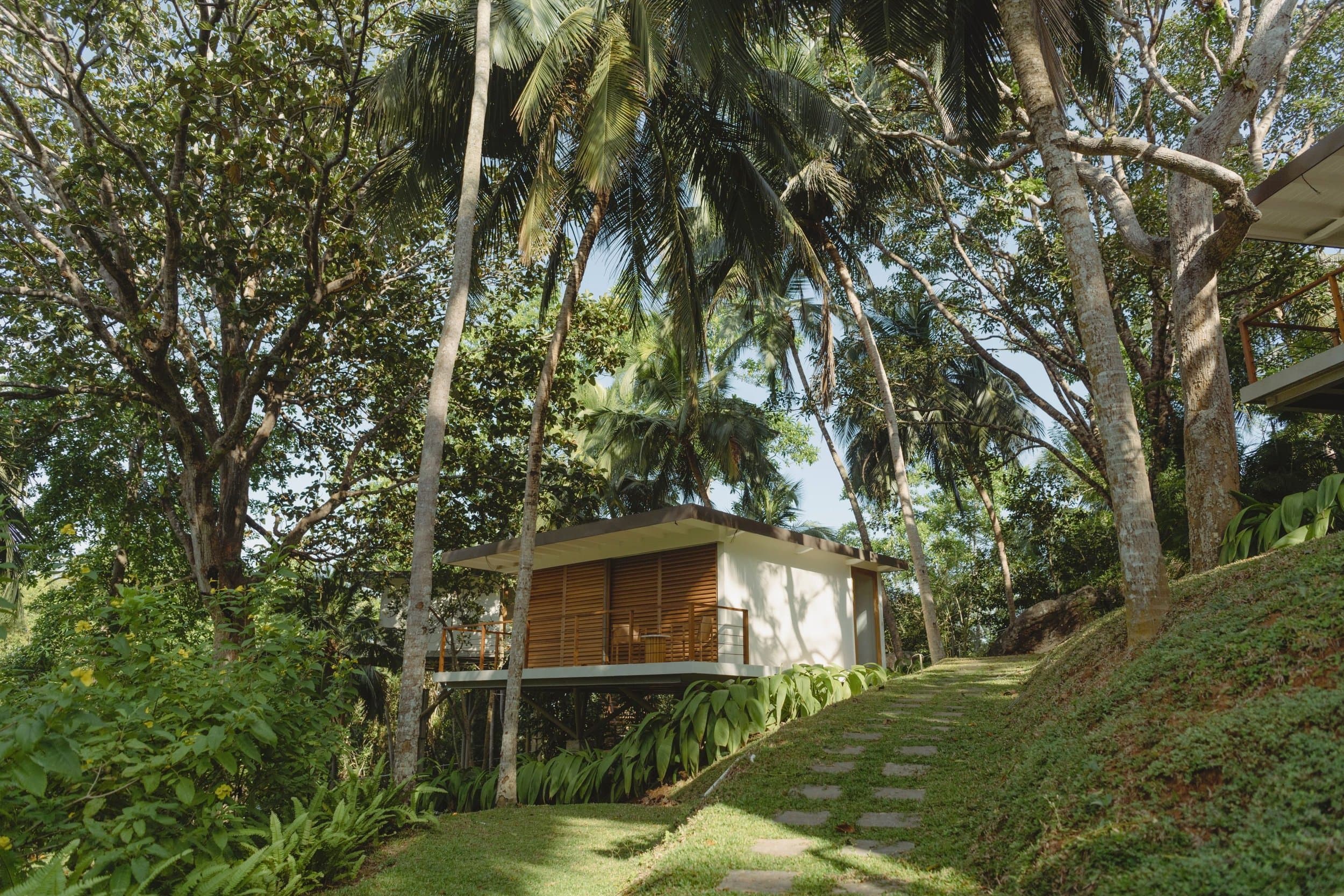 The Treehouses