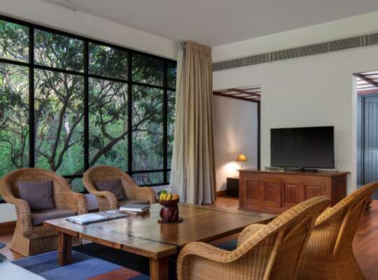 Luxury Panoramic Room