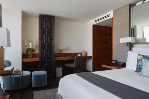 Masaryk Suite (Master Suite)