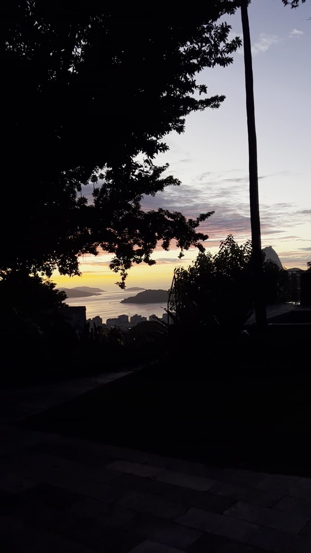Comfort Suite – Seu Jorge