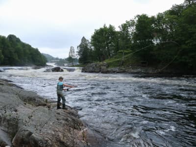 Kornmagasinet Rooms