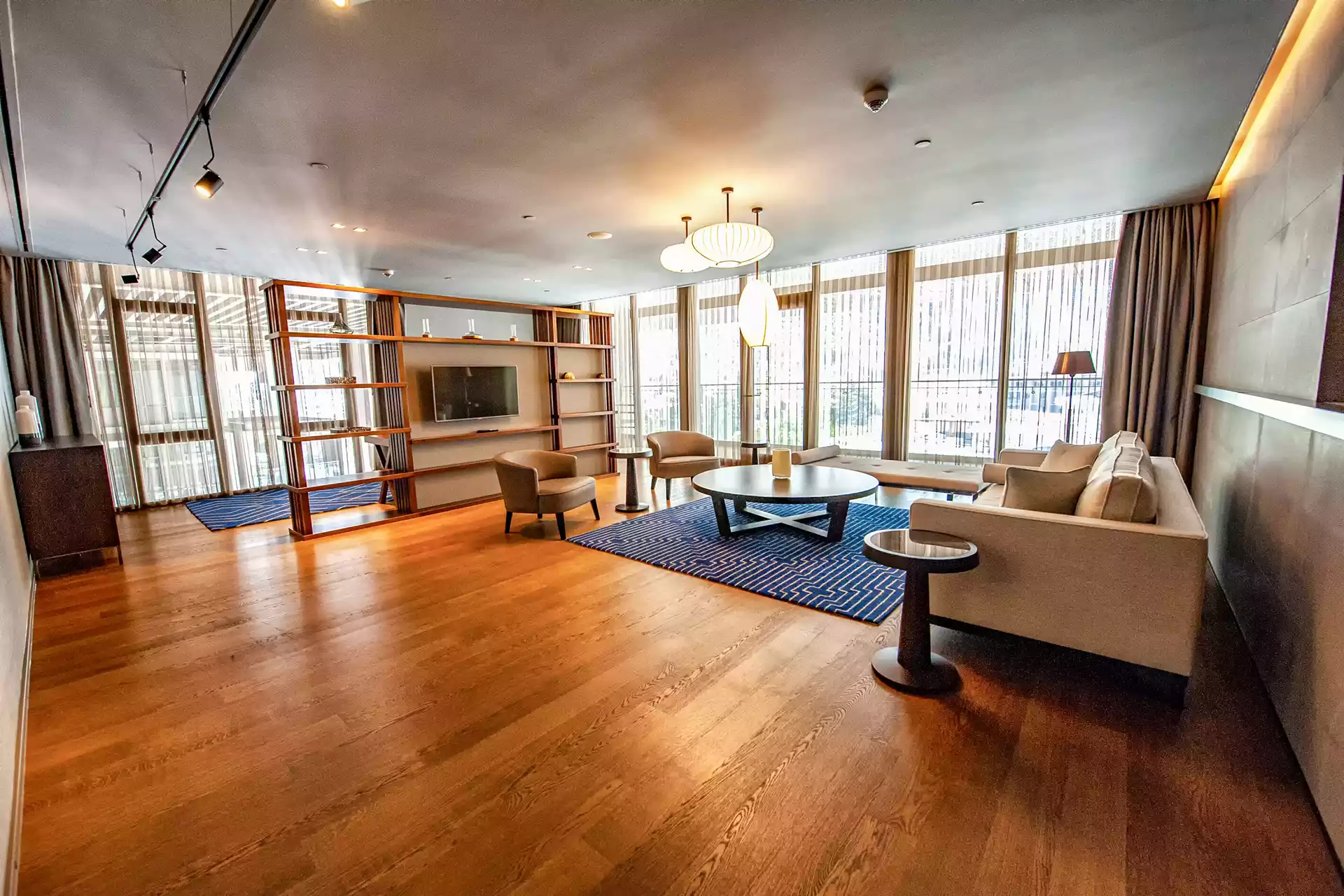 Executive Suite