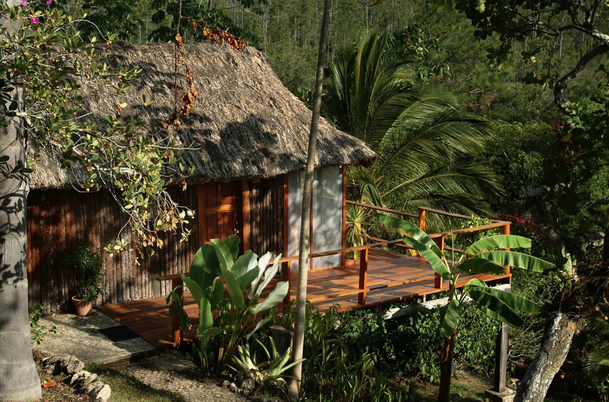 Enchanted Cottage