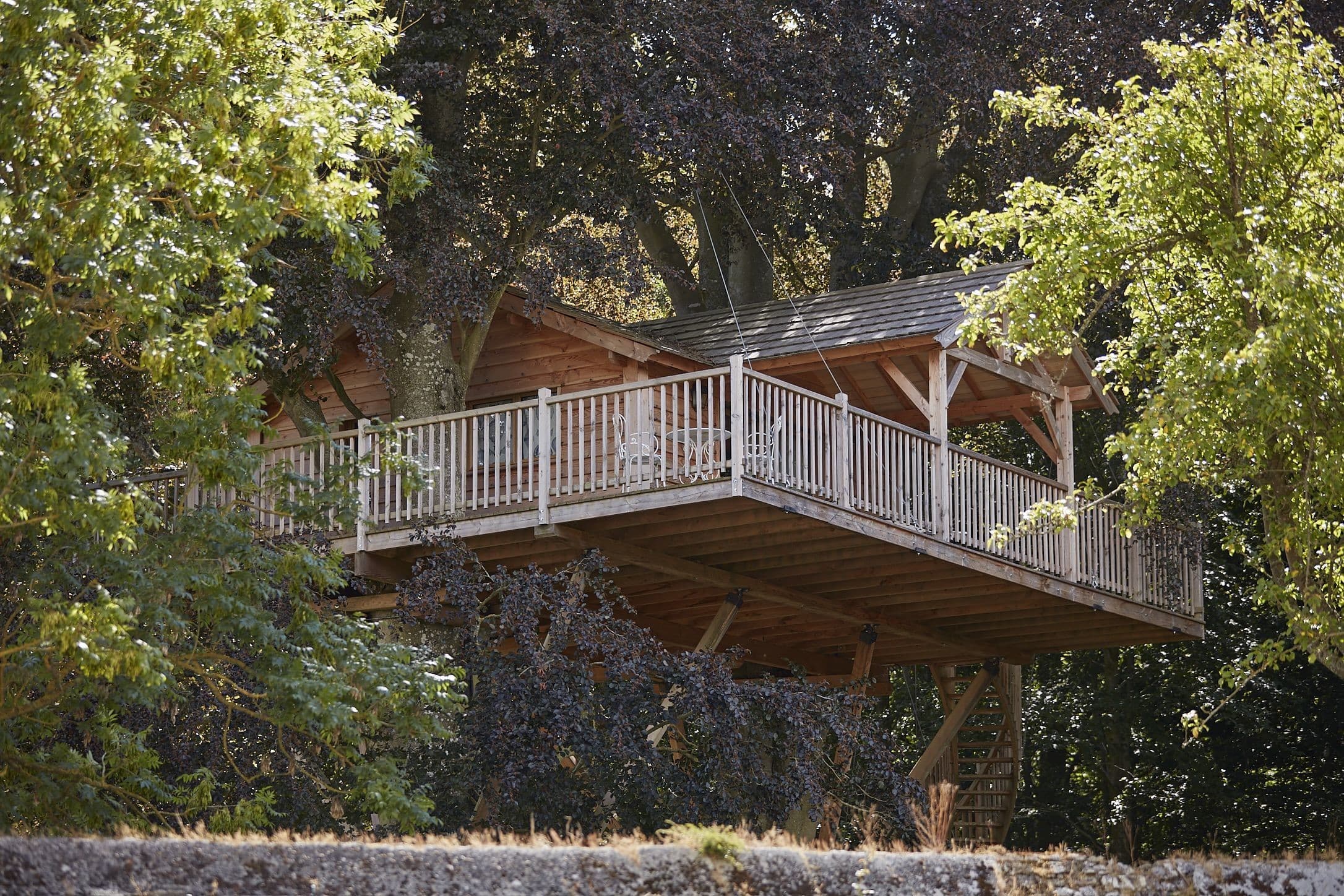 Luxury Tree House