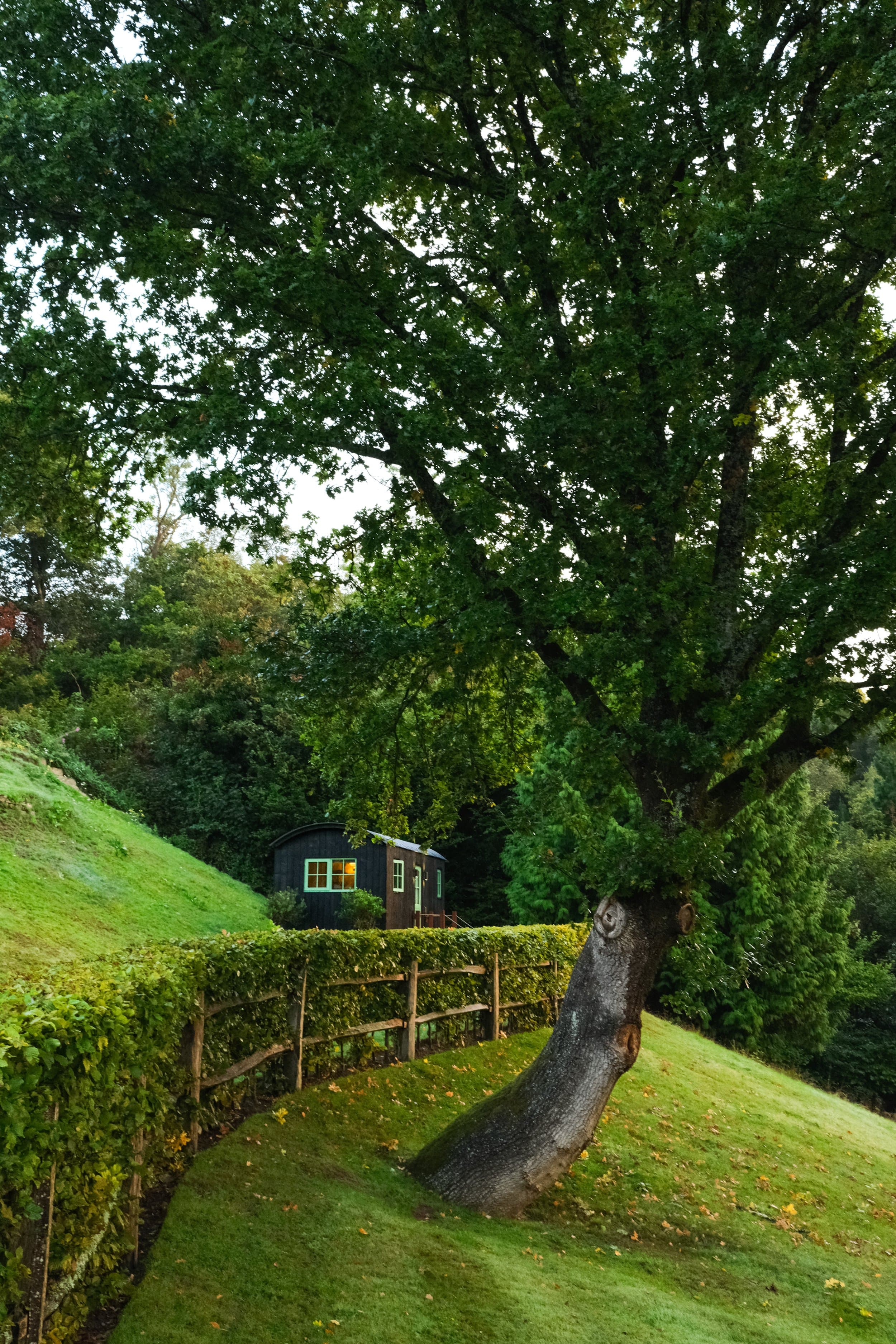 Holly Hut