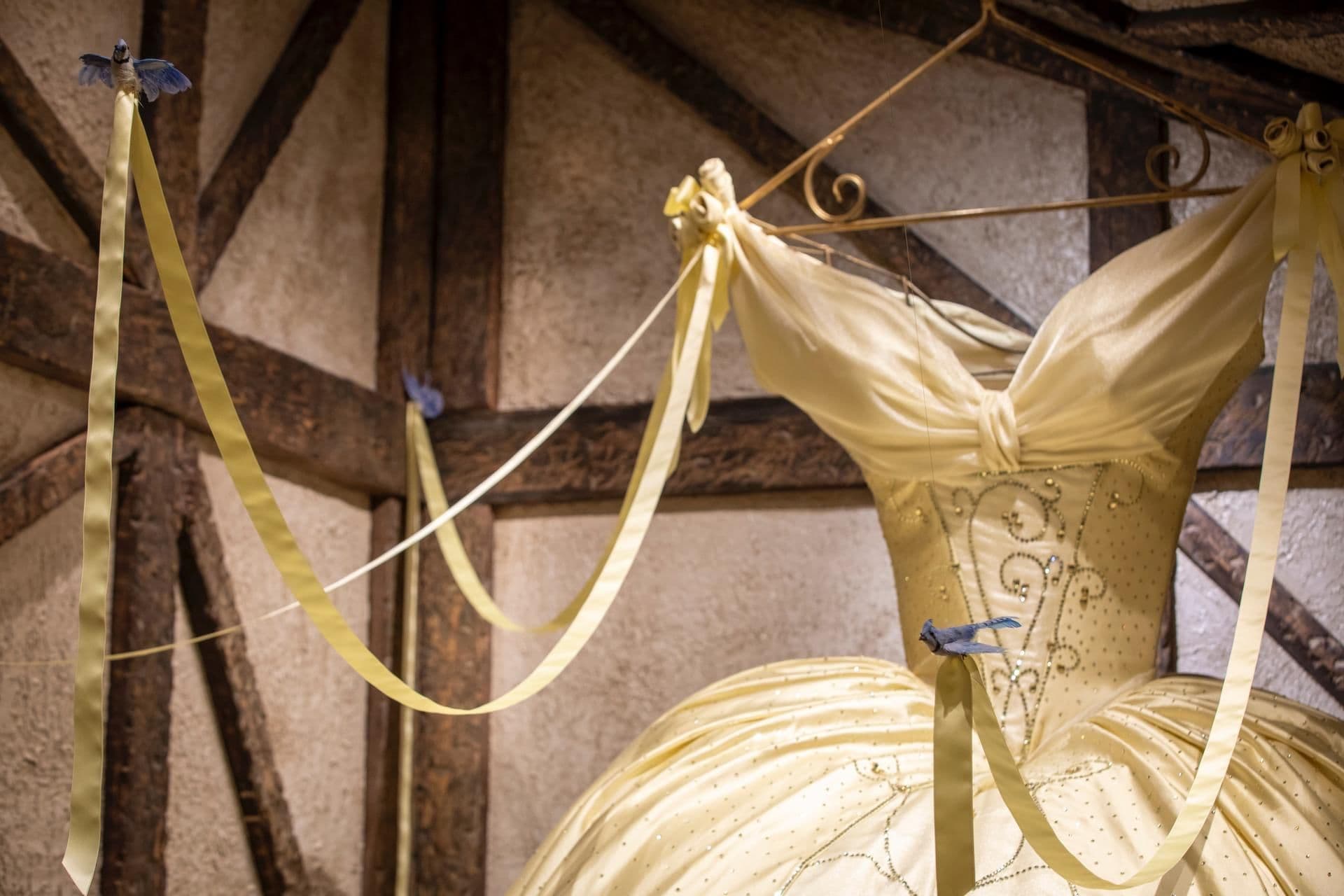 Cinderella's Gown
