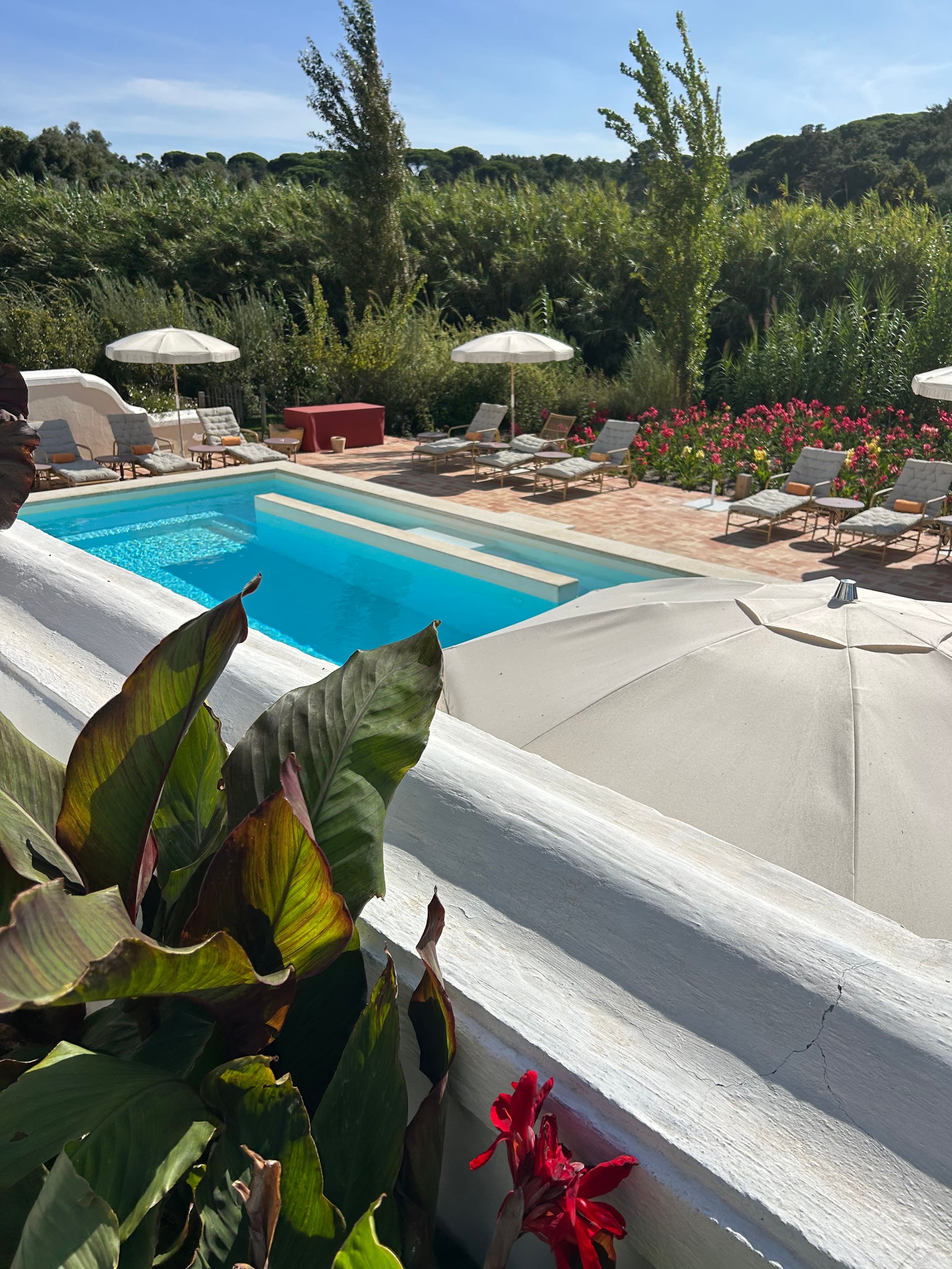 Vista Verde
