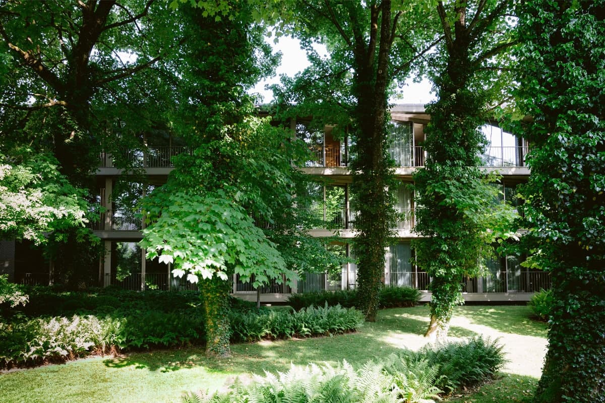 Rooms Overlooking the Park