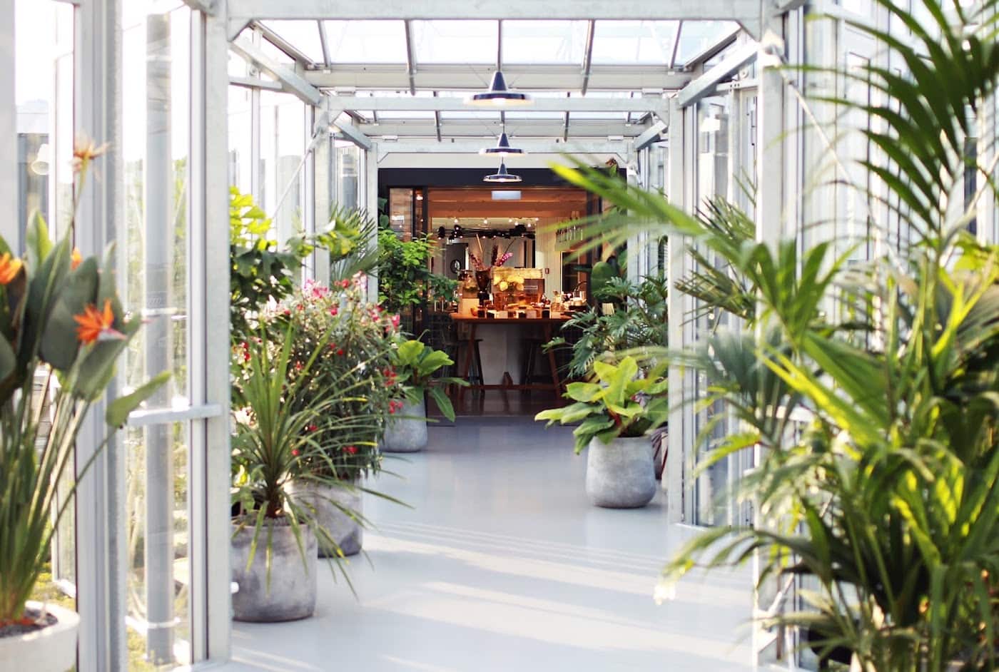 Zoku Amsterdam