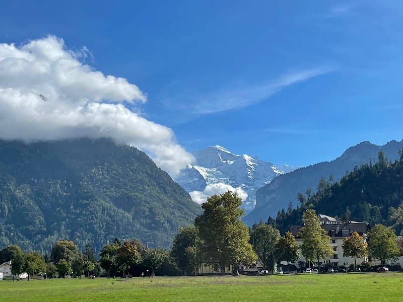 Aare River & Höhematte Park Walk