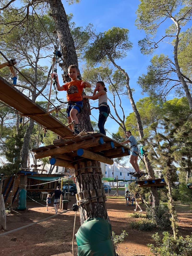 Acrobosoc Ibiza Treetop Adventure Park