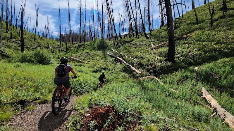 Adams Gulch Trailhead – Easy Nature Walk