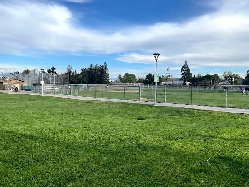 Afternoon Park Time at Wilson Park