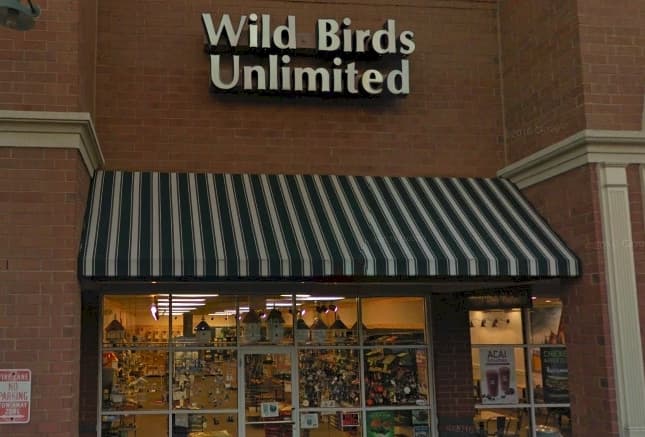 Jungle Wild Adventure in Cary's Hidden Greens
