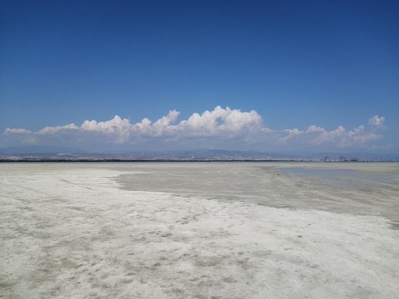 Akrotiri Salt Lake Edge