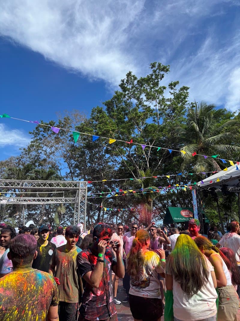 Colorful Golden Triangle Holi Family Adventure