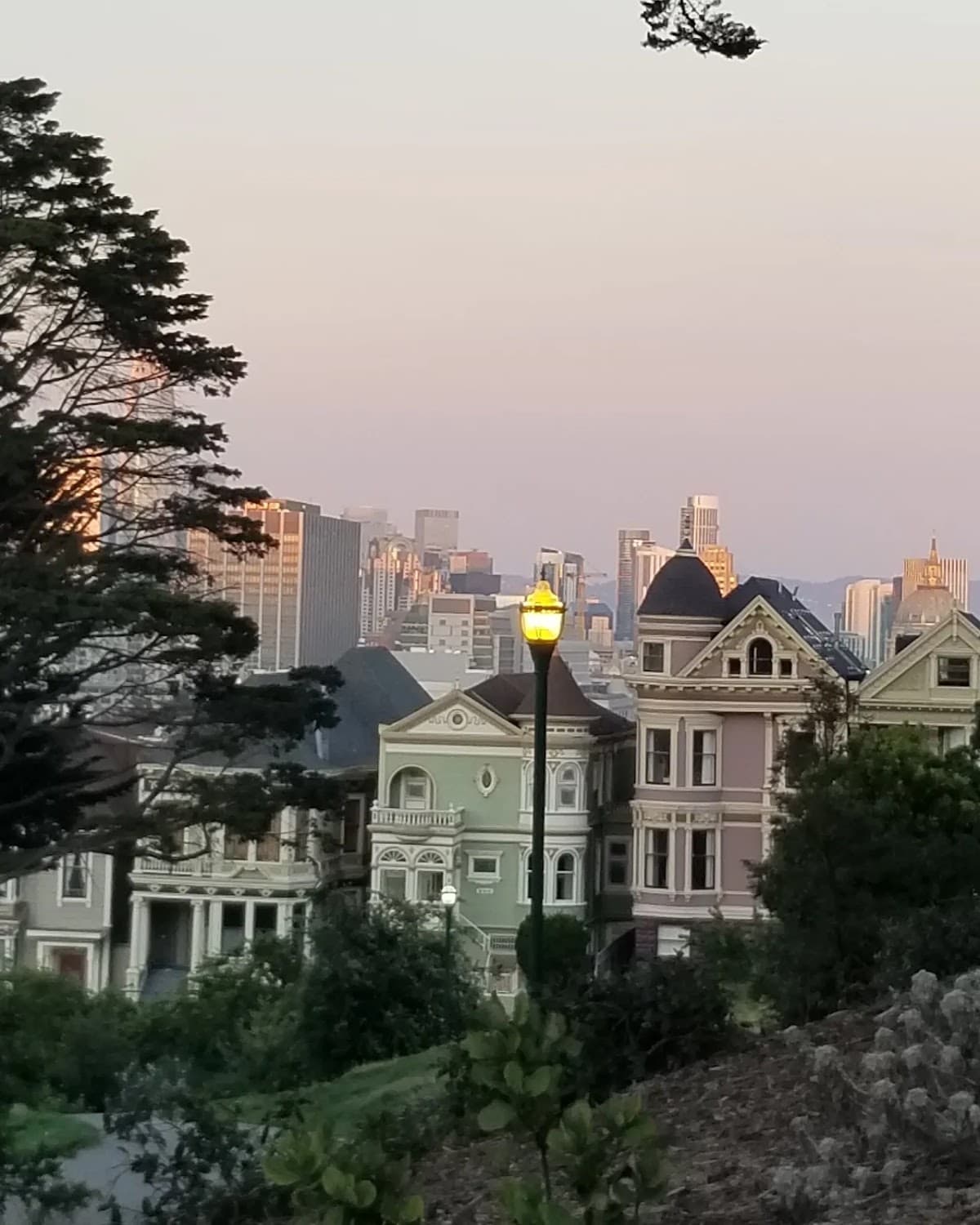 Alamo Square