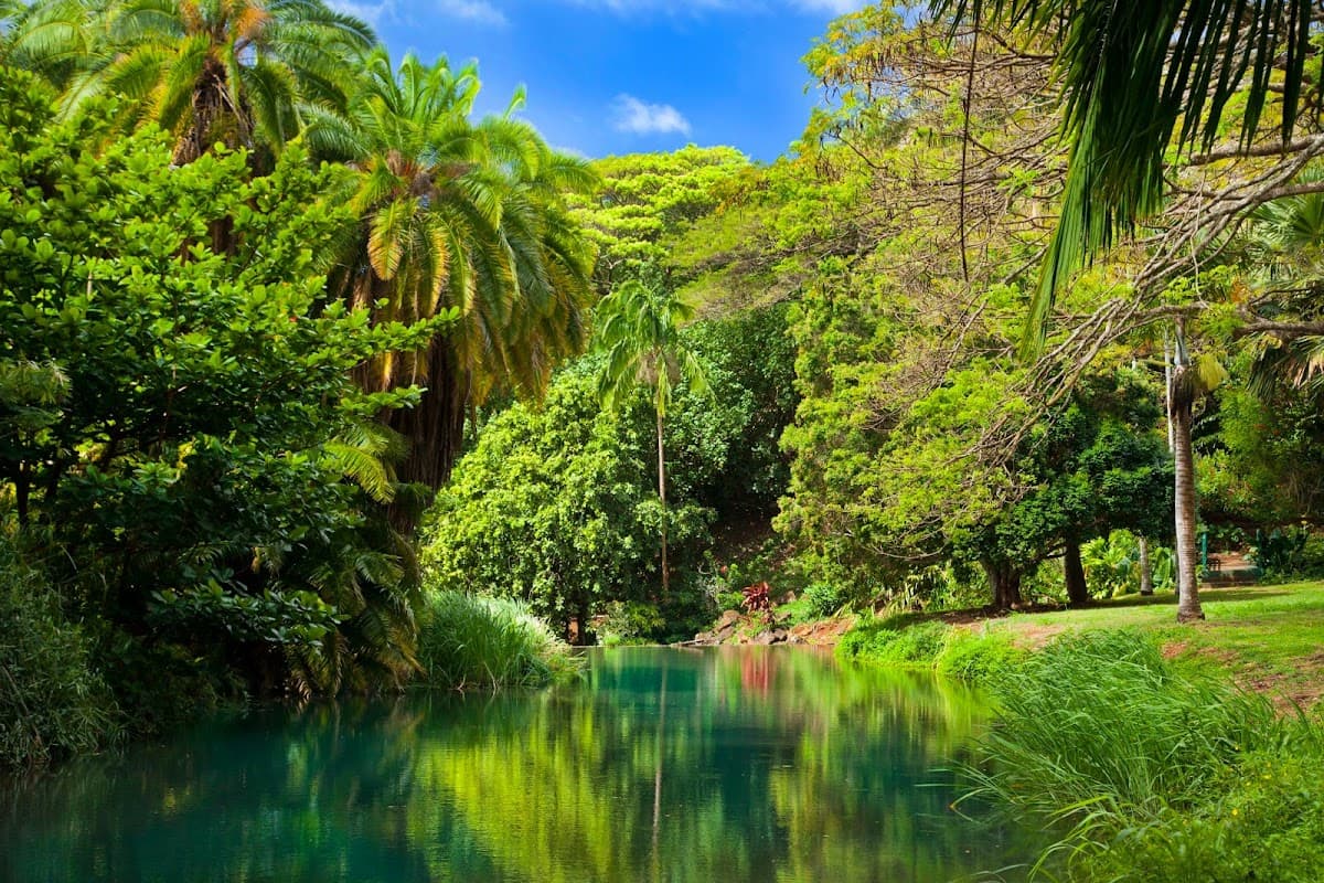 Allerton Garden Tour
