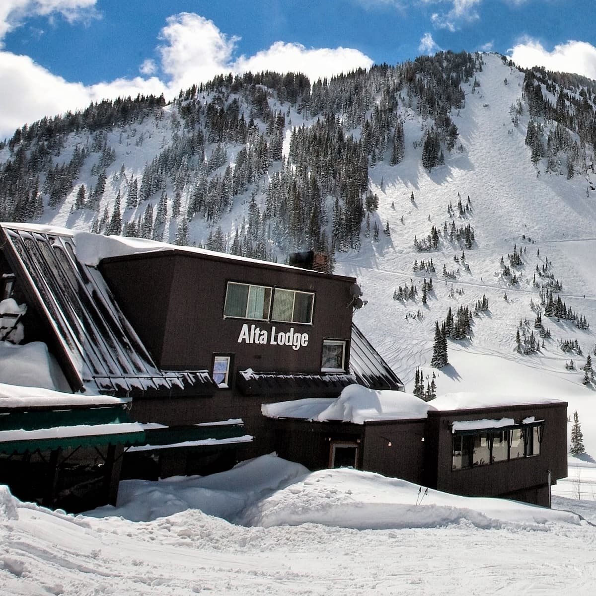 Alta Lodge Bistro