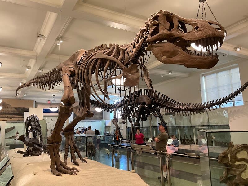 American Museum of Natural History (Optional)