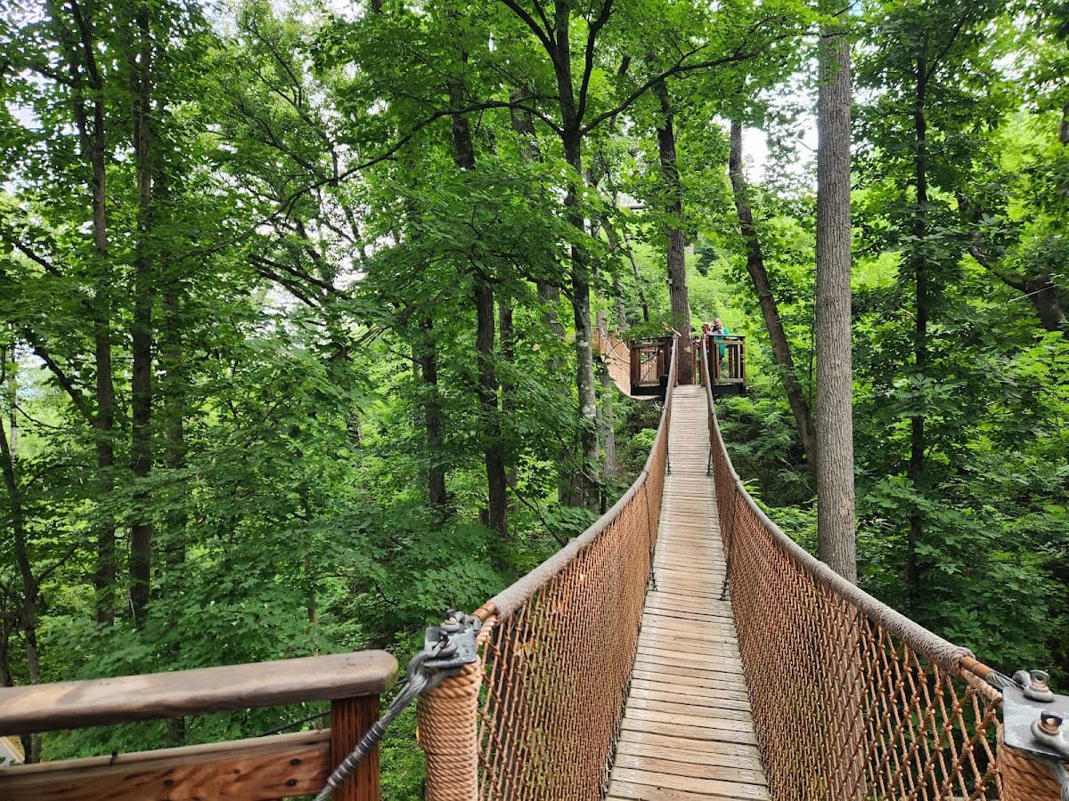 Anakeesta Adventure Park