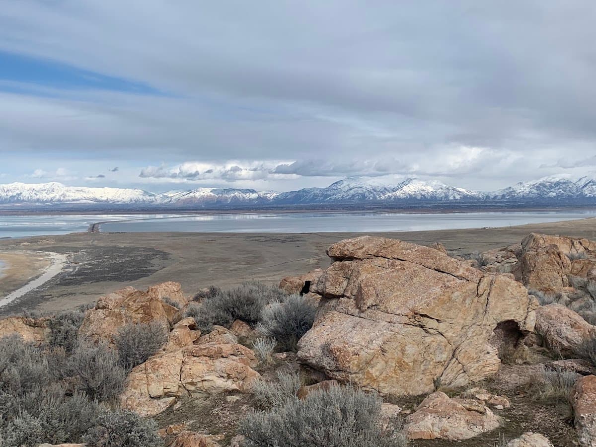Antelope Island Wildlife Tour